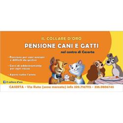 Il Collare D'Oro di Pane Loretta