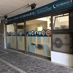 Ambulatorio Veterinario Di Mambro