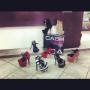 Gallery Cliente