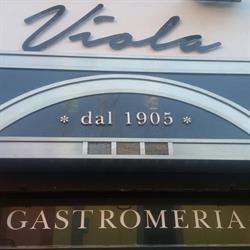 Viola1905