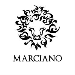 Marciano PUB Venezia
