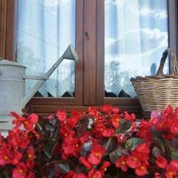 B&b La Casa della Nonna Viterbo