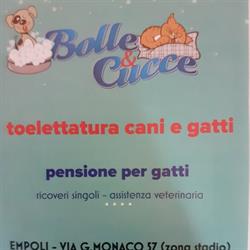 BOLLE & CUCCE