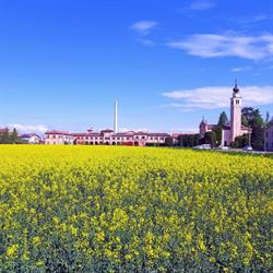 Associazione di Frazione Campocroce di Mogliano Veneto