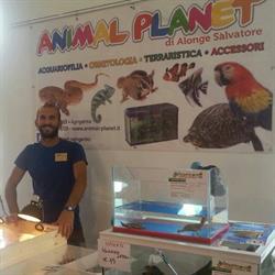 AnimalPlanet