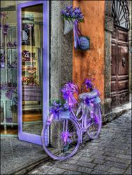 L'Angolo della Lavanda