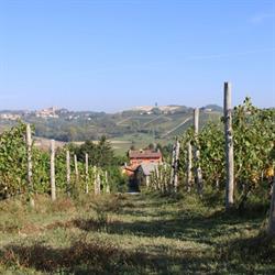 LA MUSSIA