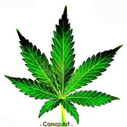 Canapart