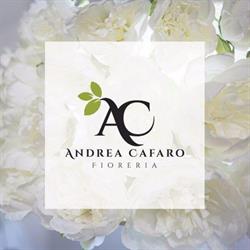 Ac Fioreria Di Andrea Cafaro