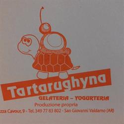 Tartarughyna