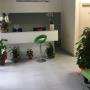 Gallery Professionale