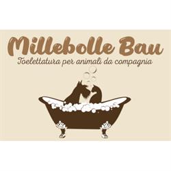 Mille Bolle Bau