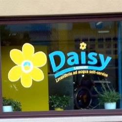 Daisy Laundry