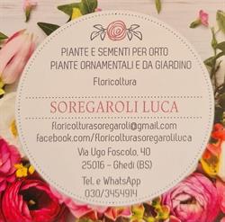 Floricoltura Soregaroli Luca