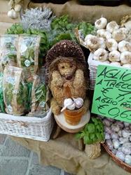 Ortofrutta maglio sergio