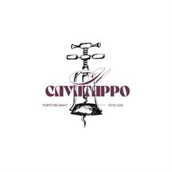 Il Cavatappo