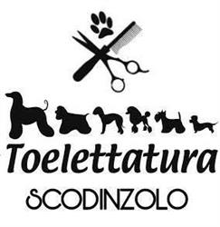 Scodinzolo - Toelettatura per Cani & Gatti - di Roberto Guiotto NOALE