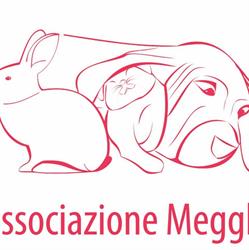 Megghy Associazione
