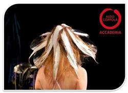 Michele savino hair balayage expett