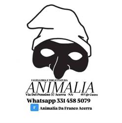 Animalia Da Franco Acerra