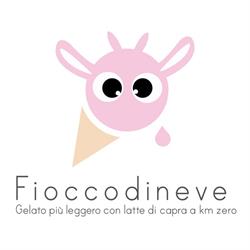 Fioccodineve