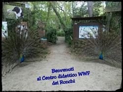 Centro didattico WWF dei Ronchi (MS)