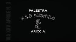 Palestra Bushido Ariccia