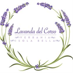 La Lavanda Del Corso