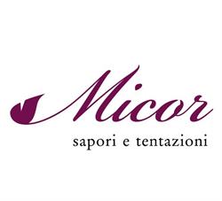 Micor Italy