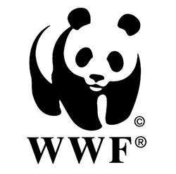 WWF TERNI