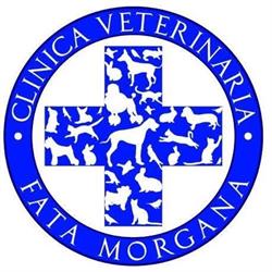 Clinica Veterinaria Fata Morgana