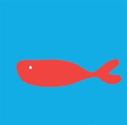 Sch!Studio - design e comunicazione