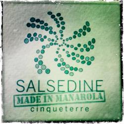 Salsedine Manarola Cinque Terre