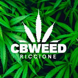 Cbweed Shop - Riccione