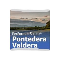 Psicoterapia Valdera PerFormat Salute