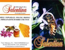 Apicoltura Salentina Di Giuseppe Romano
