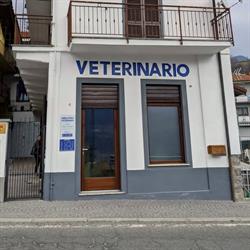 Ambulatorio Veterinario Dott.ssa Borghi Perosa Argentina- Val Chisone