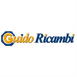 Guido Ricambi
