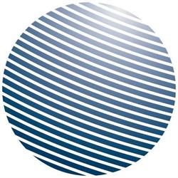 Polo Informatico
