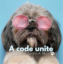 A Code Unite