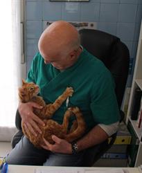 Clinica Veterinaria Degli Angeli