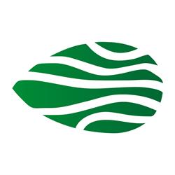 Studio Amigdala - Psicologia Clinica e Psicoterapia