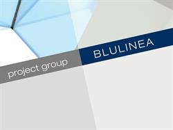 Blulinea project group