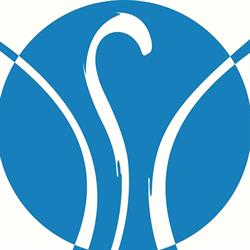 Istituto Flebologico Italiano