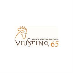 Viustino 65