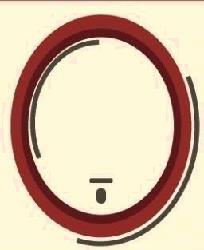 Enoteca degli ostinati