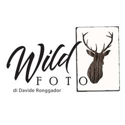 Wild Foto