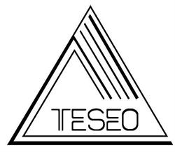 Teseo - Tessitura Serica Di Olmeda S.P.A.