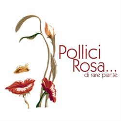 Pollici Rosa