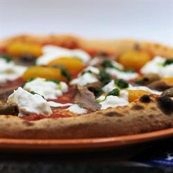 All'Olmo Ristorante Pizzeria